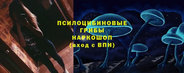 дурь Нязепетровск