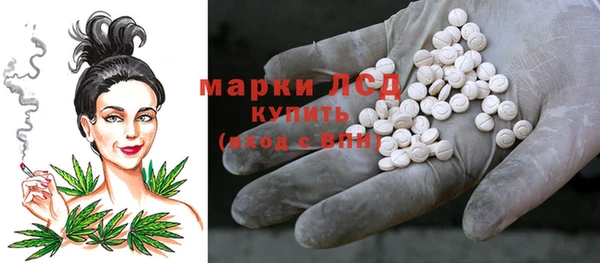 ГАЛЛЮЦИНОГЕННЫЕ ГРИБЫ Новодвинск