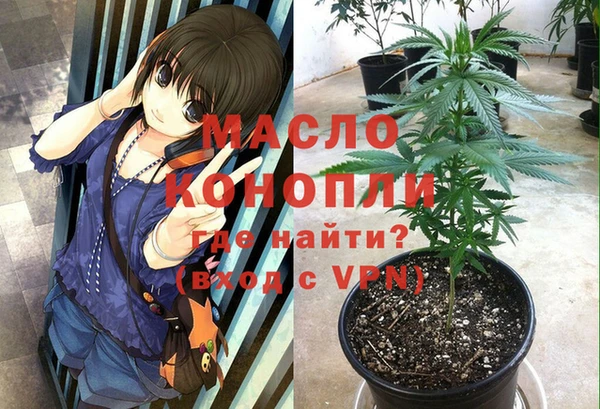 шишки Нягань