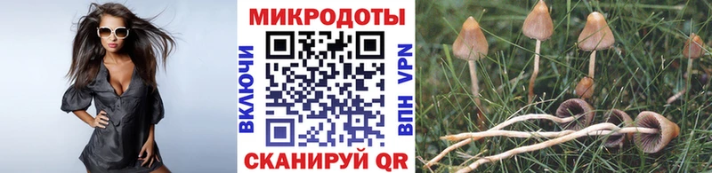 Галлюциногенные грибы прущие грибы  OMG ТОР  Кубинка 