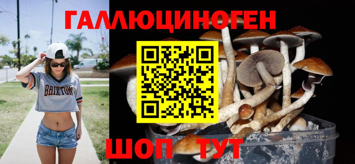 Галлюциногенные грибы GOLDEN TEACHER  где можно купить наркотик  Псилоцибиновые грибы Magic Shrooms  Кубинка 