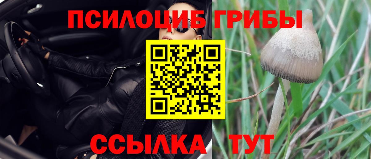 Галлюциногенные грибы GOLDEN TEACHER Кубинка