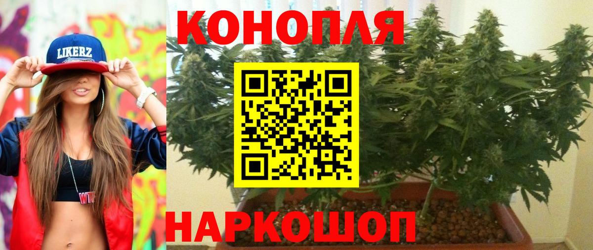 Бошки марихуана сатива Кубинка